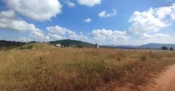 Terrains Idéalement Situés à Ambatomirahavavy: Proximité de l’Électricité Jirama et Accès Facile au Centre-Ville