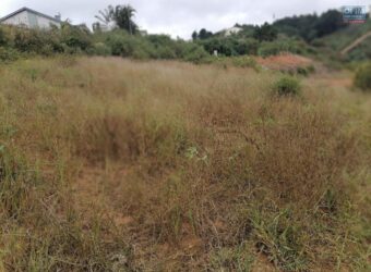 Terrain de 1073M2 légèrement en pente, Ambolokandrina