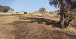 À vendre : Terrain plat constructible de 1 458 m², à Tsilazaina Alasora- Antananarivo