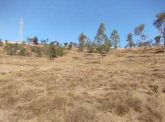 A vendre vaste terrain de 9958 m2 avec vue dégagée sur les alentours situé en bord de route à Fenoarivo Morarano