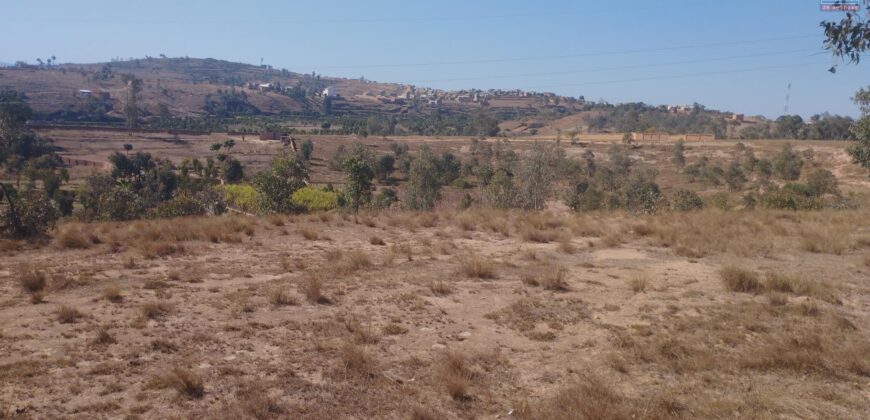 A vendre vaste terrain de 9958 m2 avec vue dégagée sur les alentours situé en bord de route à Fenoarivo Morarano