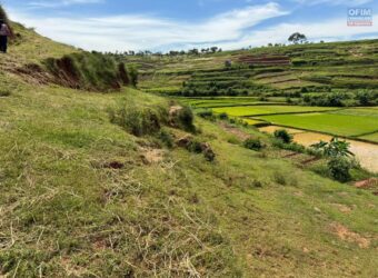 A vendre un grand terrain de 4266 m2 situé dans un quartier calme à Ambohidratrimo