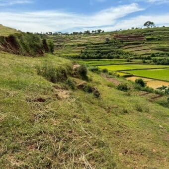 A vendre un grand terrain de 4266 m2 situé dans un quartier calme à Ambohidratrimo