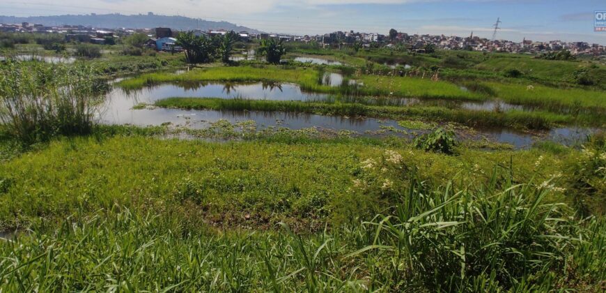 A vendre terrain de 5325 m2 situé en bord de route principale sur la Digue