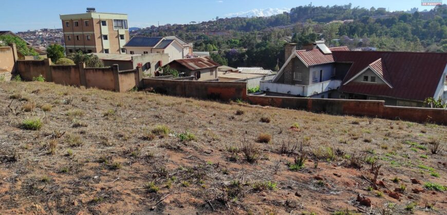 Vente terrain de 4500 m² à Ambolokandrina : Idéal pour un projet immobilier