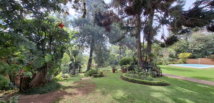 A vendre une villa avec piscine et grand jardin arboré située dans un quartier calme et résidentiel à Andoharanofotsy