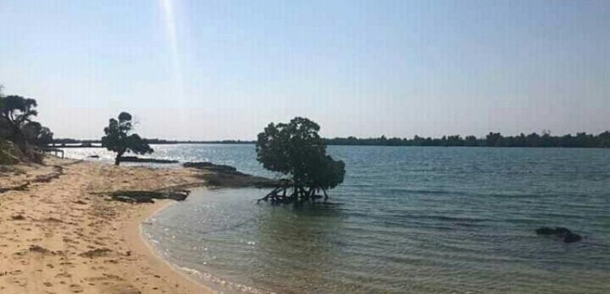 A vendre terrain constructible de 15 hectares situé en bord de mer à Morondava