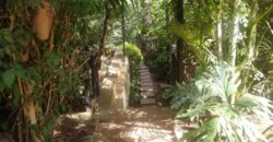 A louer une charmante villa F4 avec jardin arboré et piscine située à Manazary Ilafy