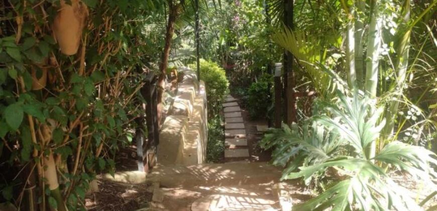 A louer une charmante villa F4 avec jardin arboré et piscine située à Manazary Ilafy